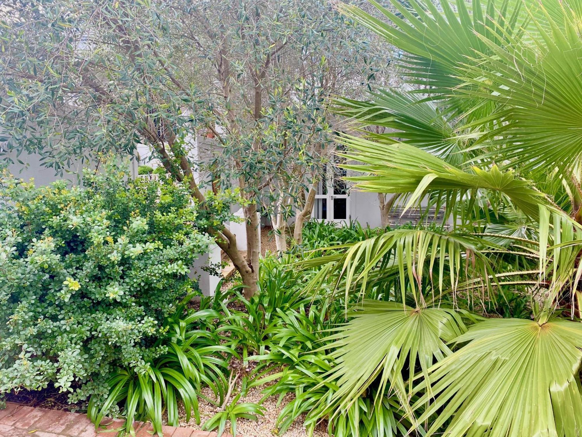 1 Royal Street Guesthouse Riebeek-Kasteel Exterior photo